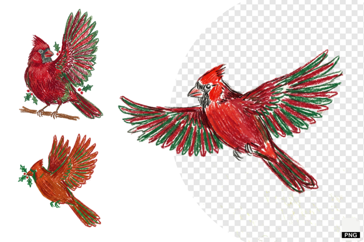 Christmas Cardinal Garden Clipart