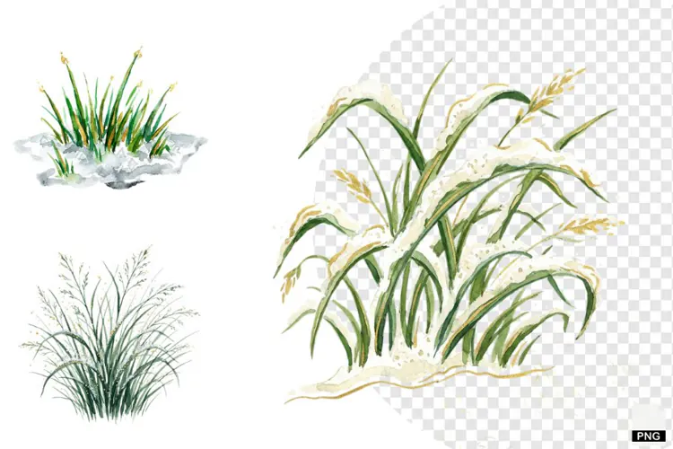 Winter Snowy Grass Clipart