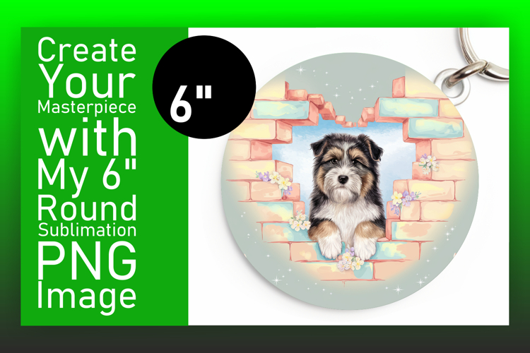 Circle Png Image 12