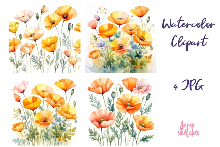 4 California Poppy Watercolor Clipart Poppy Clip Art