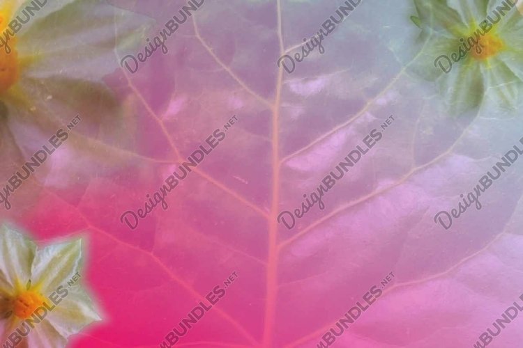 abstract floral sublimation   printing