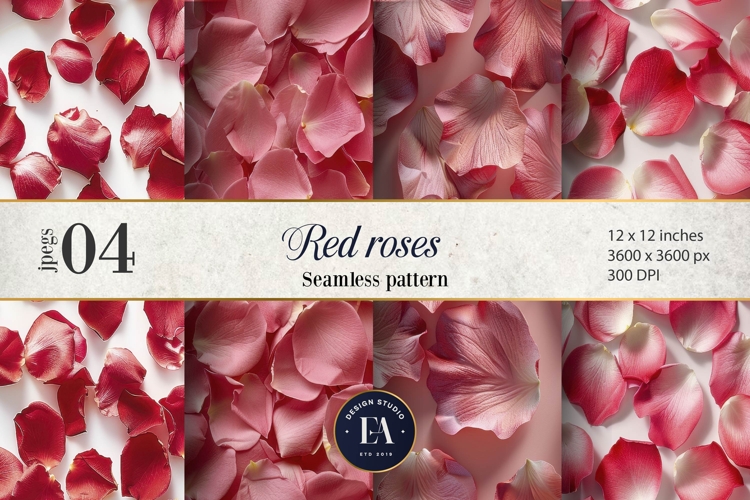 Rose Background Image 5
