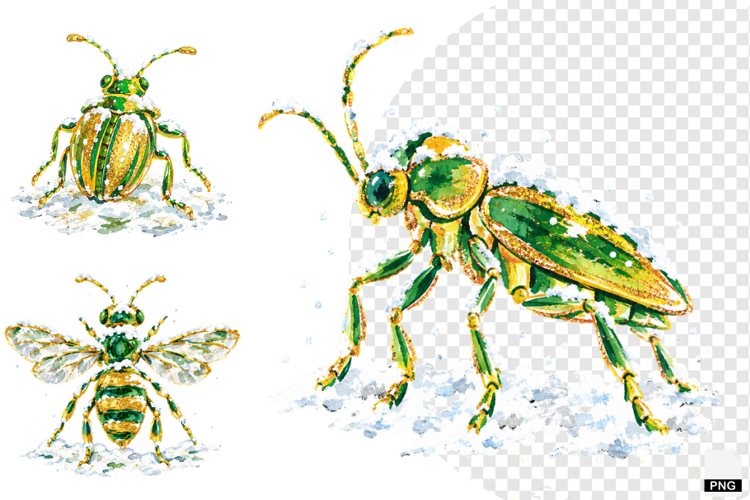 Winter Insect Garden Clipart