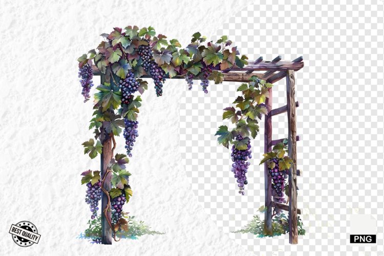 Grape Vine Clipart Image 21