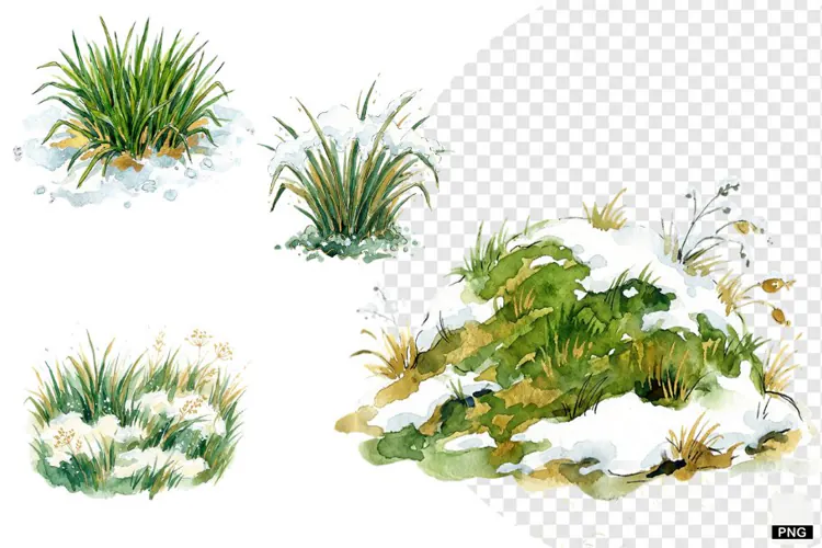 Winter Snowy Grass Clipart