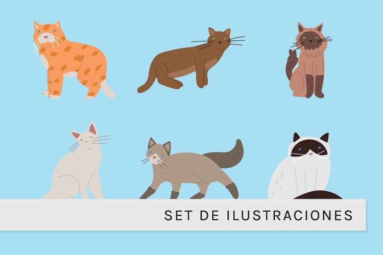 Set de Gatos Coloridos example image 1