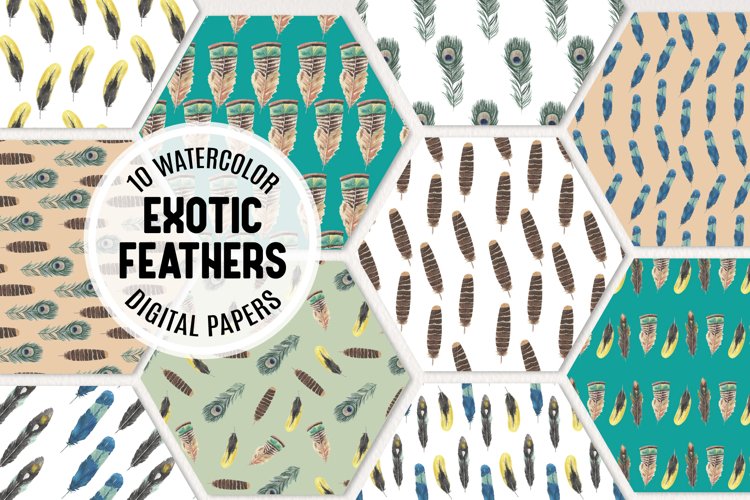 Feathers Clipart Image 7