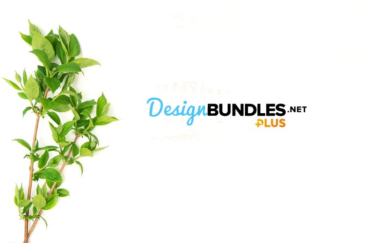 Floral Background Image 5