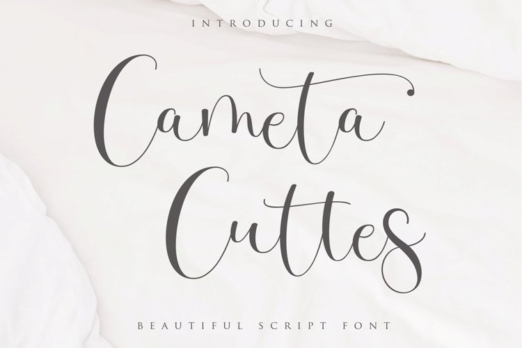 Cameta Cuttes - Beautiful Script example image 1