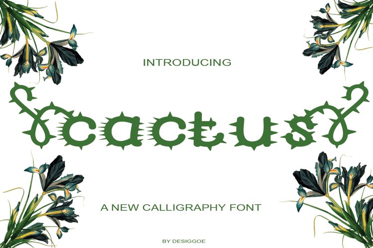cactus example image 1