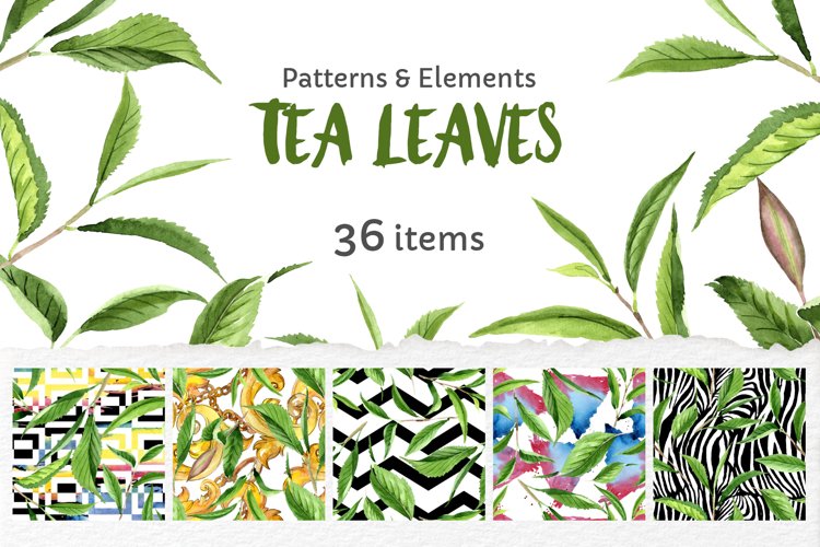 Green Tea Leaves Watercolor png example image 1