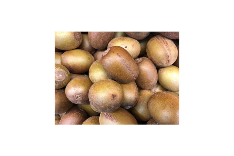 Kiwi Clipart Image 5