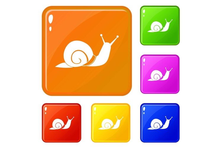 Snail Illustration Image 4