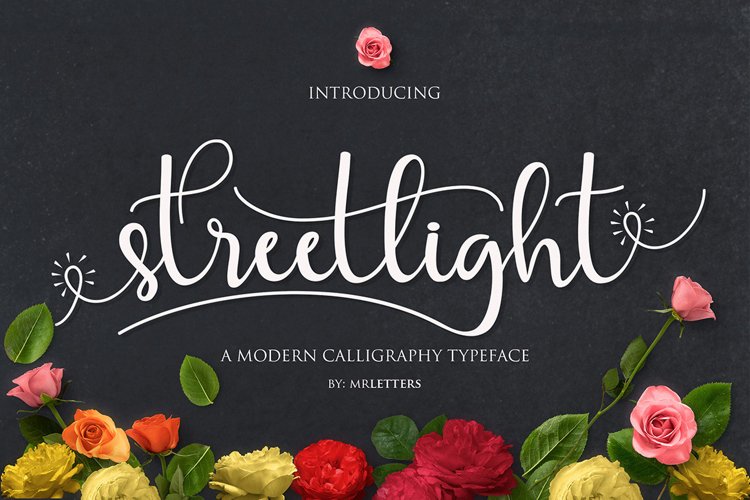 Streetlight Script | WEB FONT example image 1