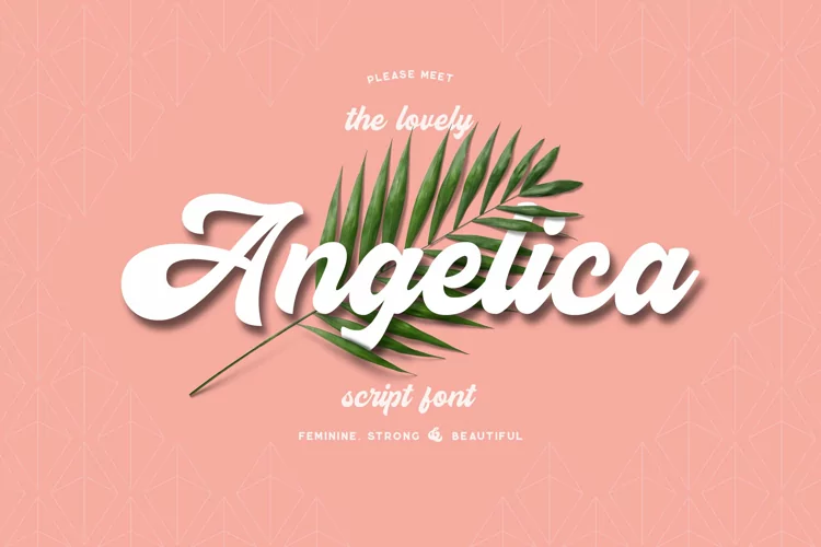 Angelica - Feminine   Bold Brush Script Font