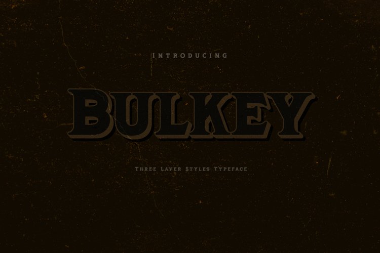 Bulkey example image 1