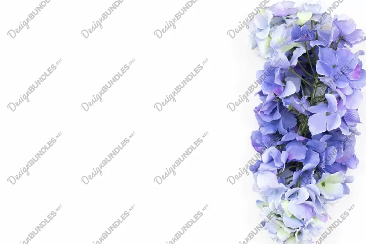 Hyacinth Flowers Flat Lay