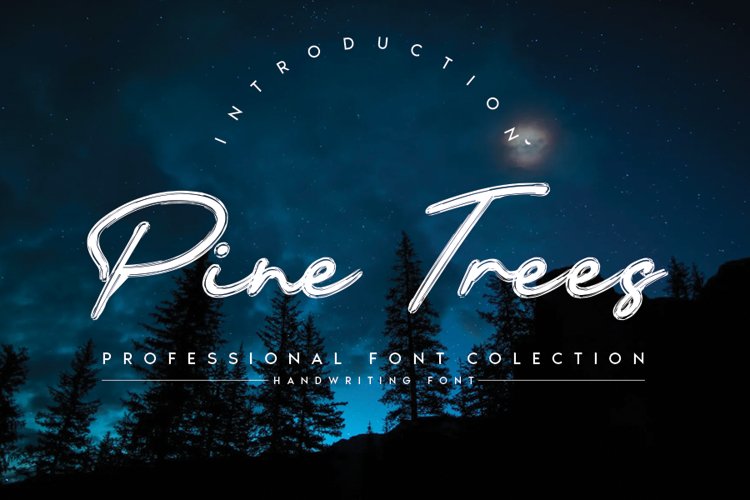 Pine Trees example image 1