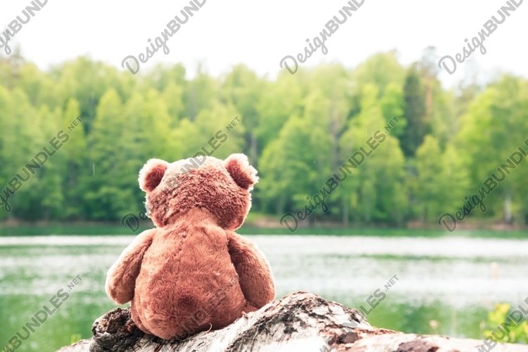 A teddy bear sits by a forest lake. A summer picnic. example image 1