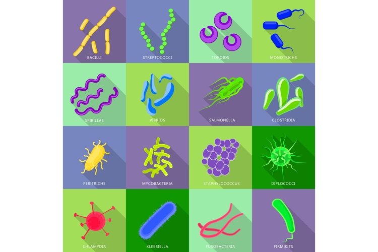 Bacteria Clipart Image 15