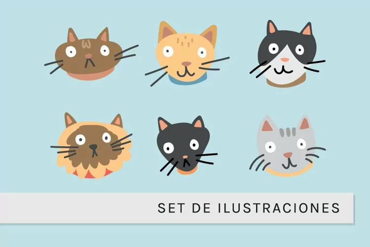 Graciosas Caras de Gatos