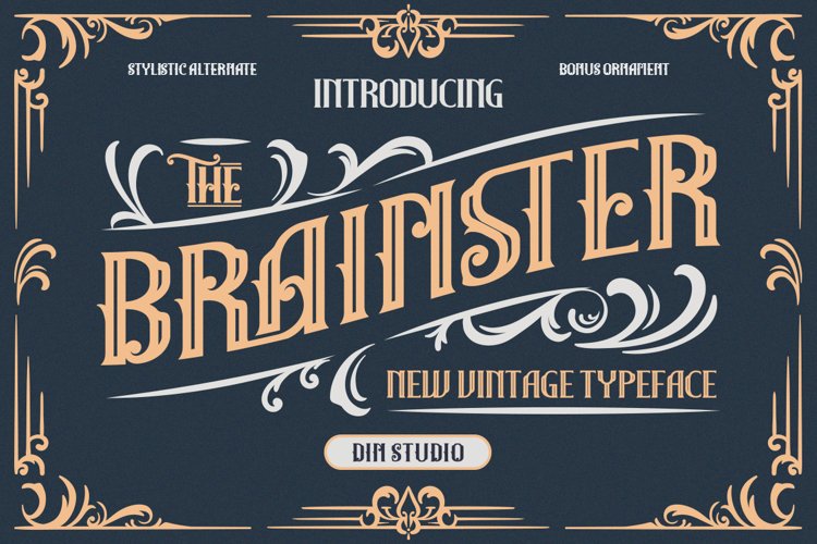 The Brainster - Display Font example image 1