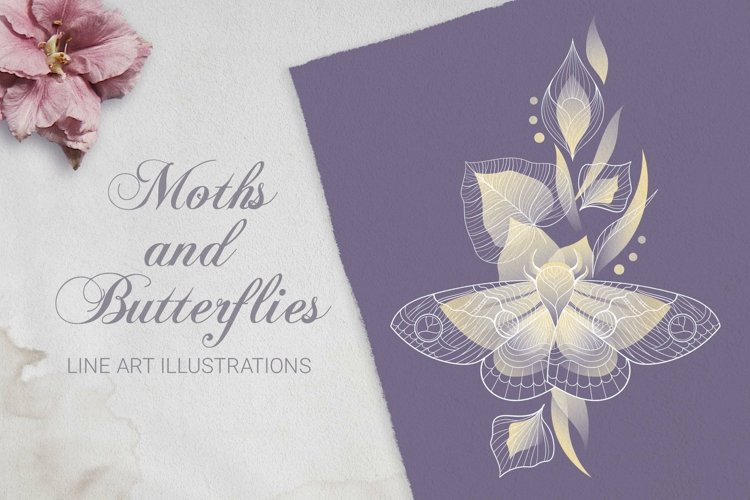 Butterfly Outline Image 20