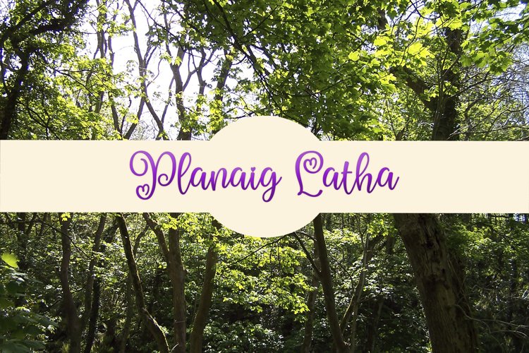 Woodland Background example image 1