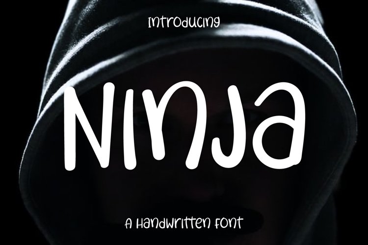 Ninja example image 1