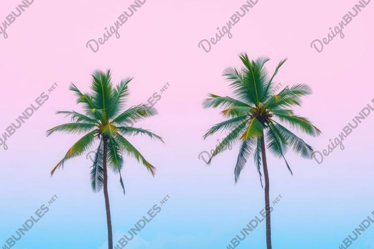Palm Tree Clipart Image 23