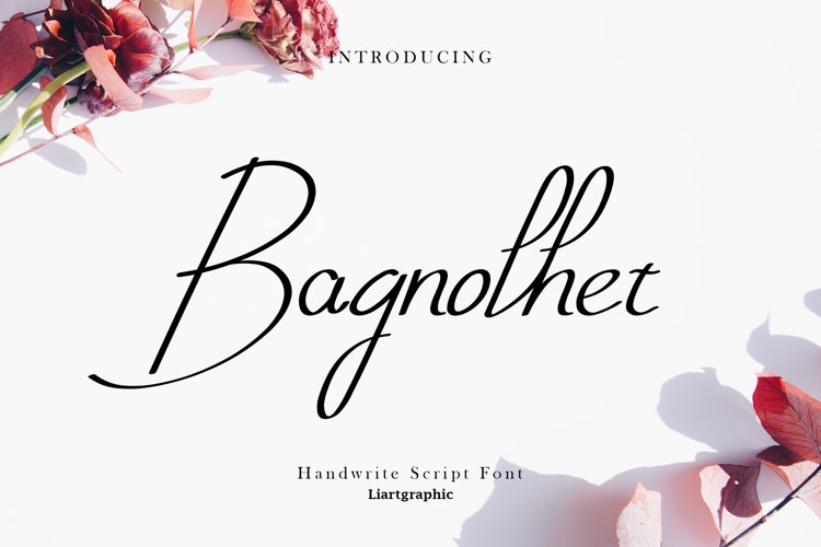 Bagnolhet example image 1