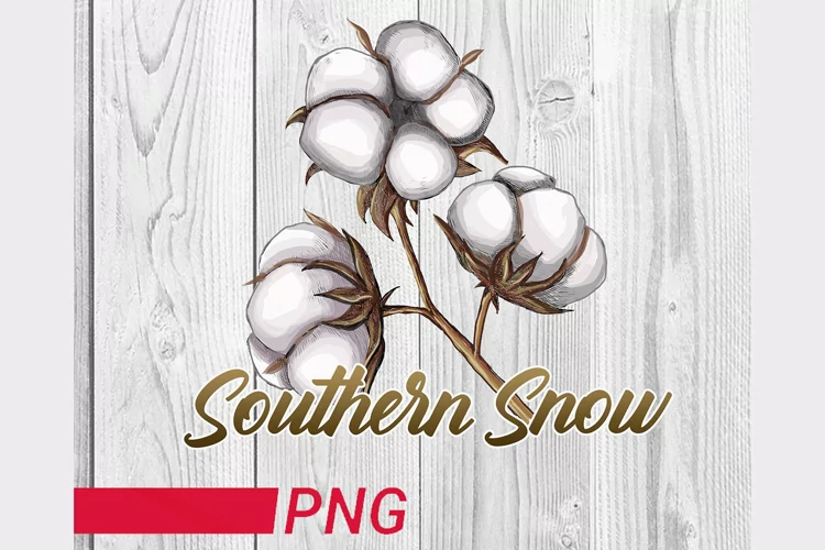 Southern snow png cotton png