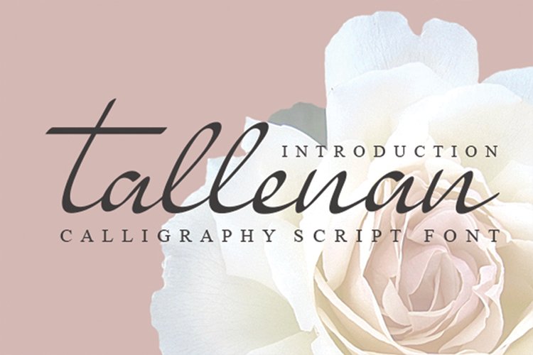 tallenan example image 1