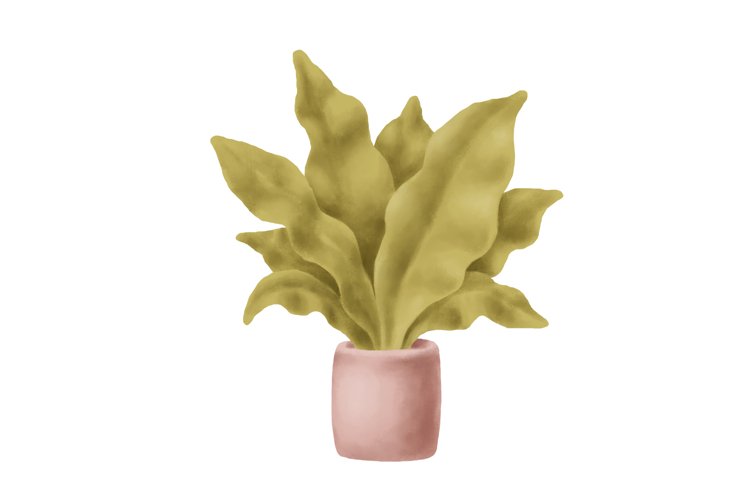 Greenery Clipart Image 13