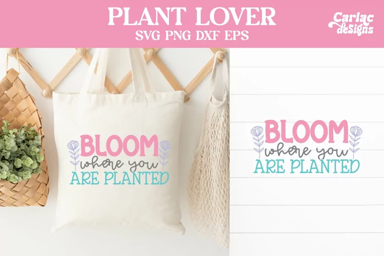 Bloom Where you are Planted SVG, Plant Lover SVG
