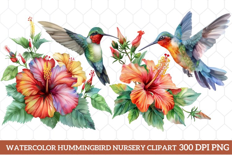 Hummingbird Clipart Image 17