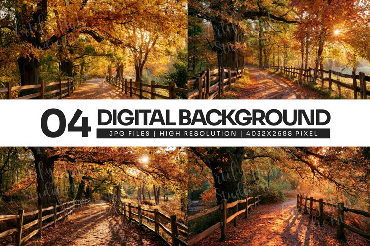 Golden Autumn Forest Trail Path Background example image 1