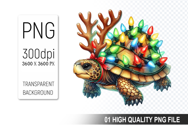Turtle Png Image 20