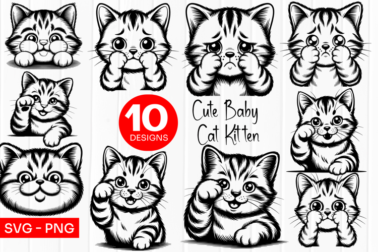 Cute Baby Kitten Clipart SVG PNG