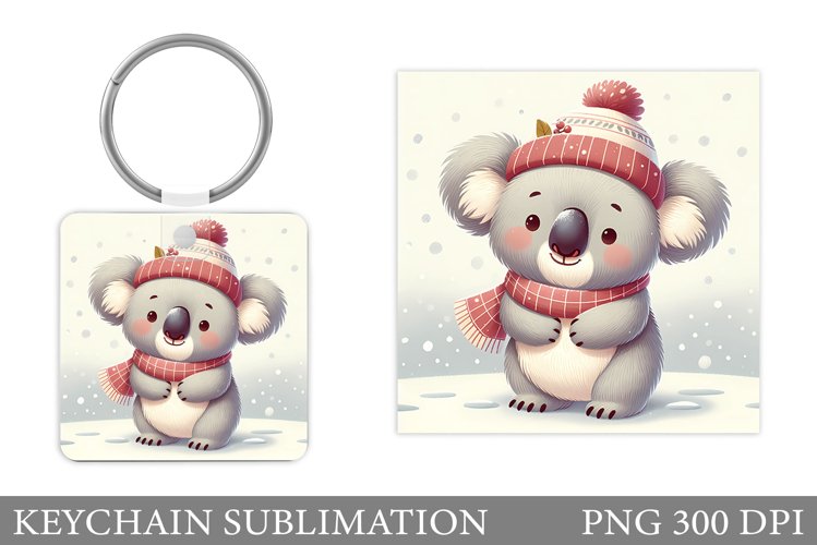 Cute Koala Pictures Image 14