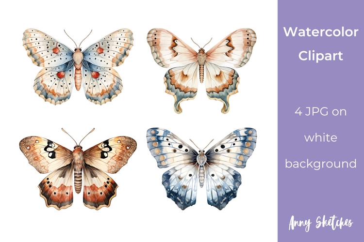 Moth Clipart Image 10