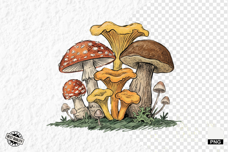 Summer Clipart Image 4