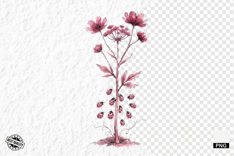 Lady Bug Clipart Image 20
