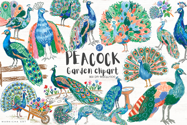 Peacock Garden Clipart