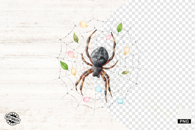Spider Clipart Image 21