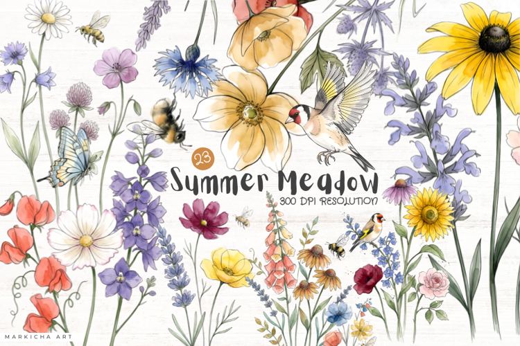 Summer Meadow Flowers Clipart