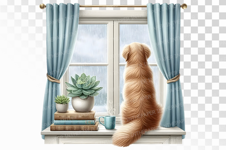 Golden Retriever Back View Watching Rainy Window PNG Summer