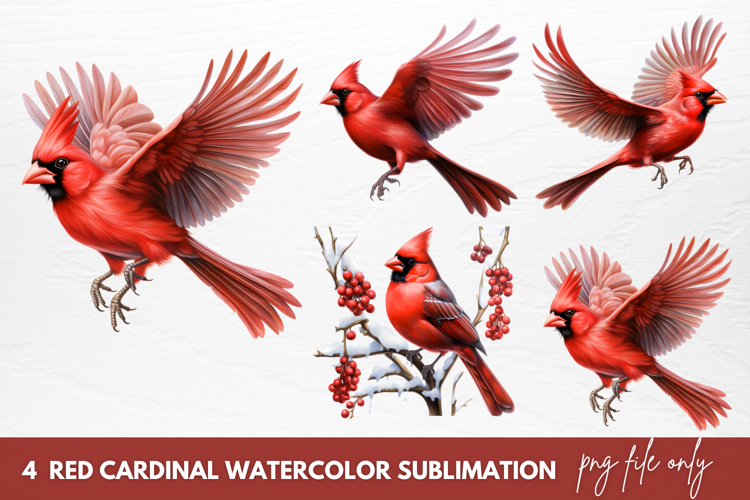 Cardinal Clipart Image 5
