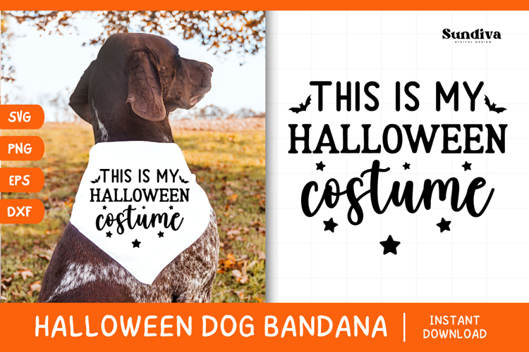 Bandana Clipart Image 4