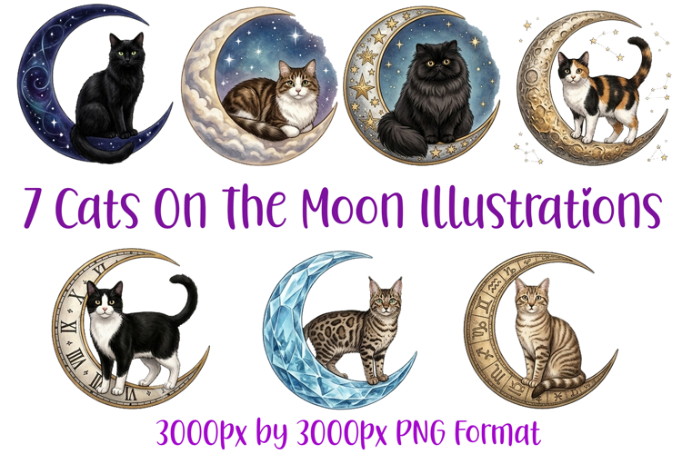 7 Cats Kittens on The Moon Whimsical PNG Illustrations